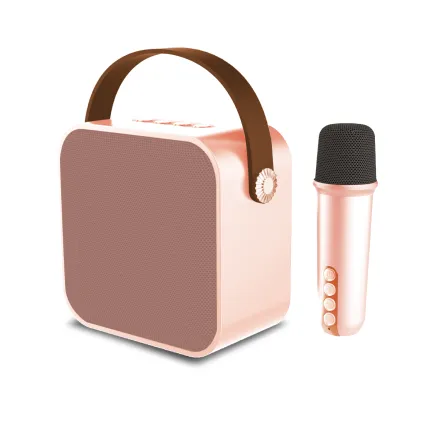 Parlante Mini Karaoke Box