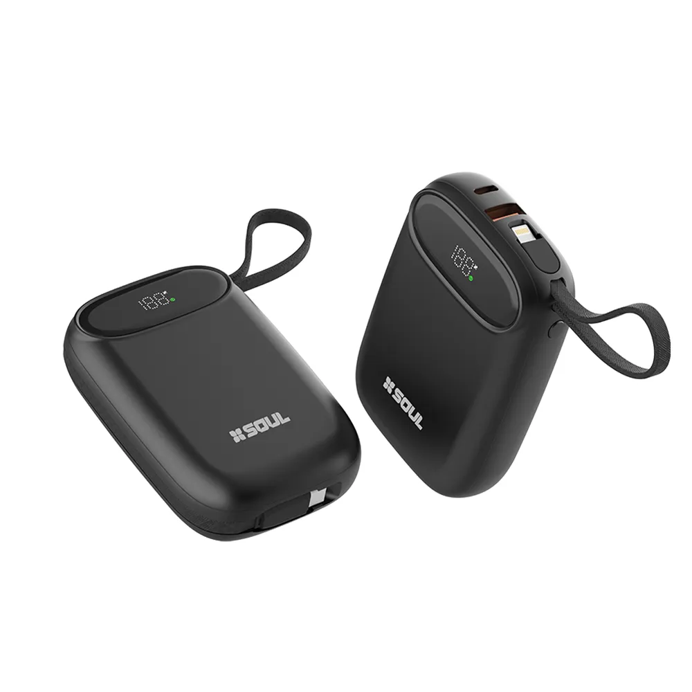 Power Bank Pro100